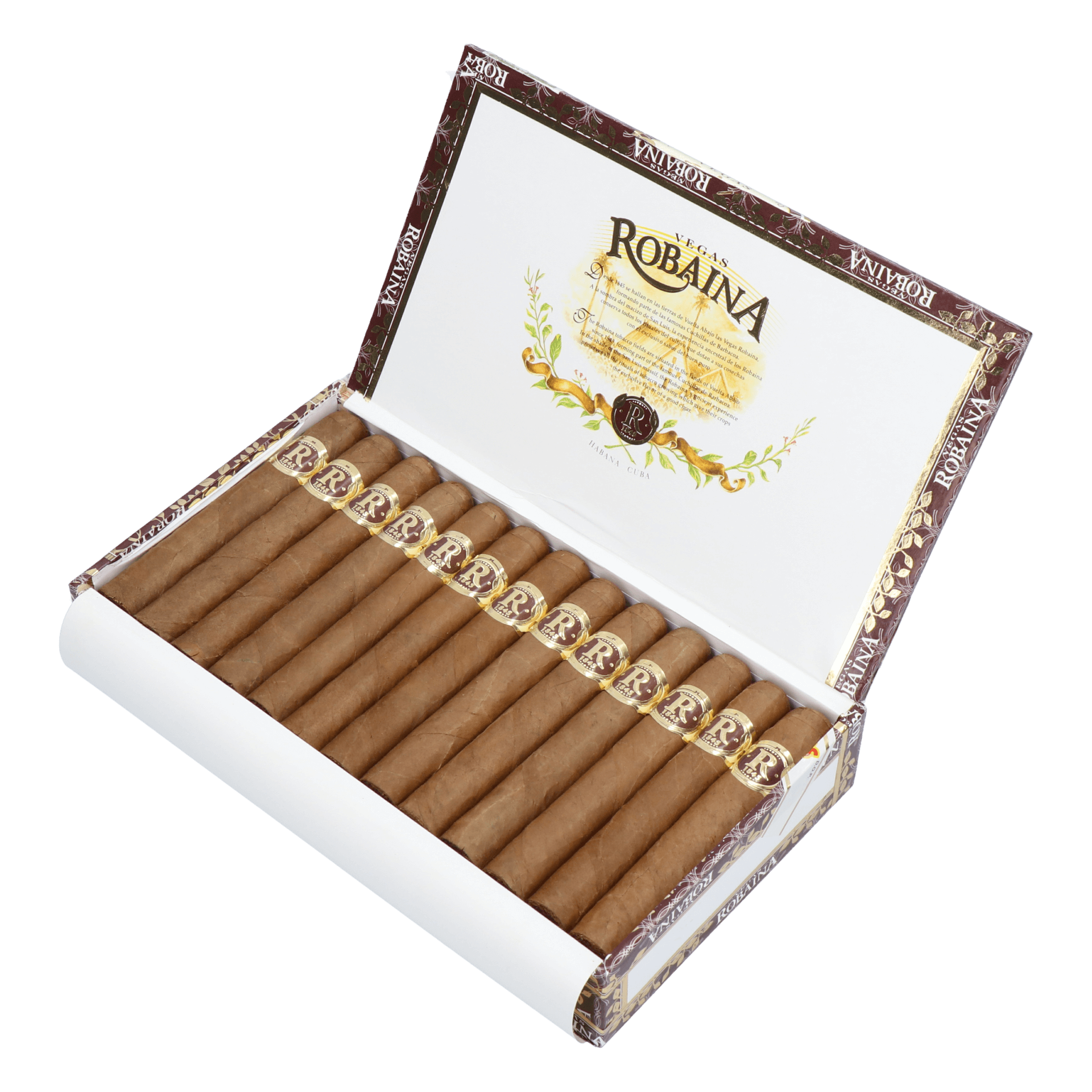 Vegas Robaina Famosos – Bild 6