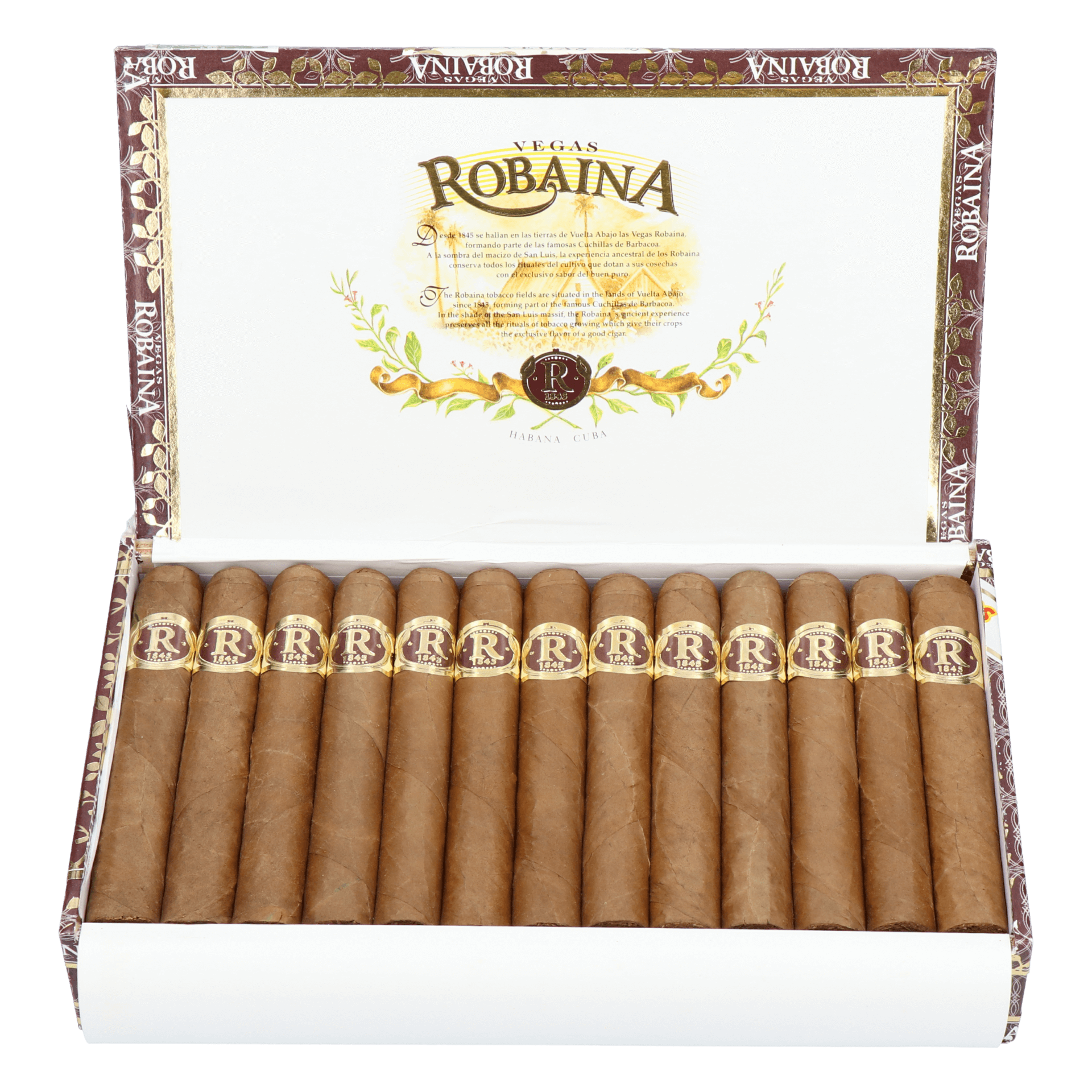 Vegas Robaina Famosos – Bild 7