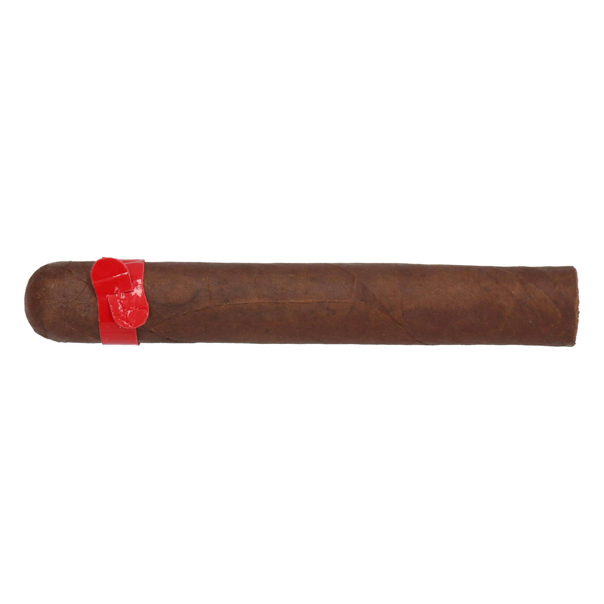 Skinhead Red Caiman – Bild 2