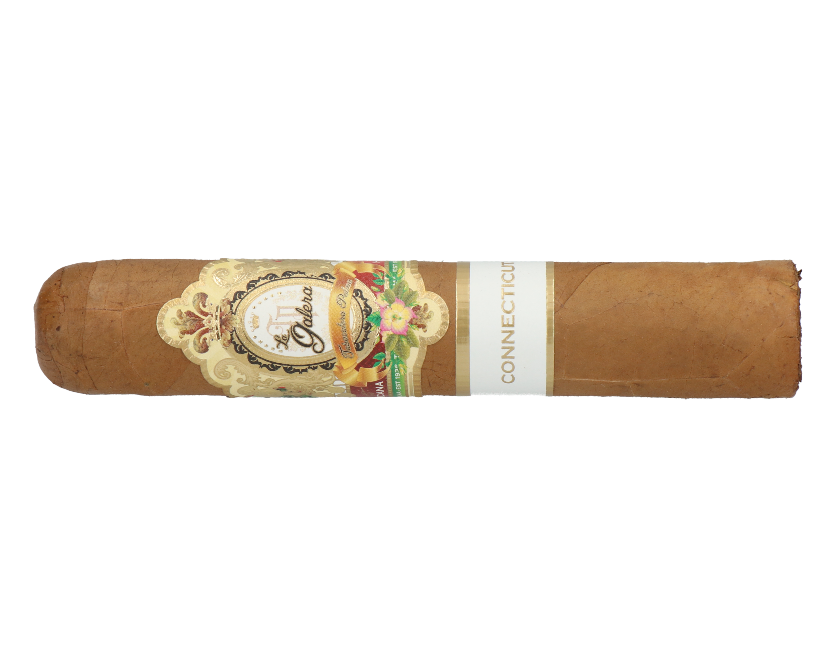 La Galera Connecticut Pilon - Short Gordo – Bild 5