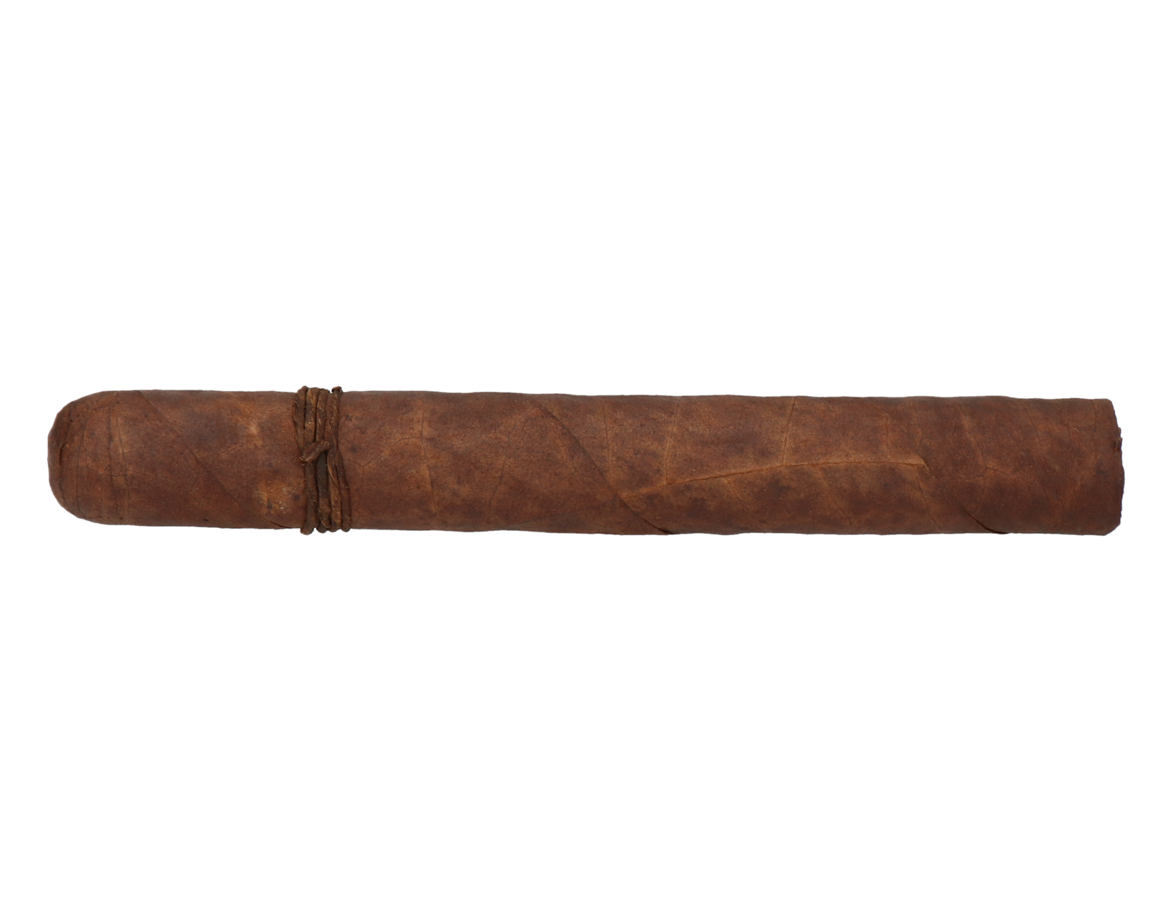 CAO Amazon Basin Toro – Bild 5