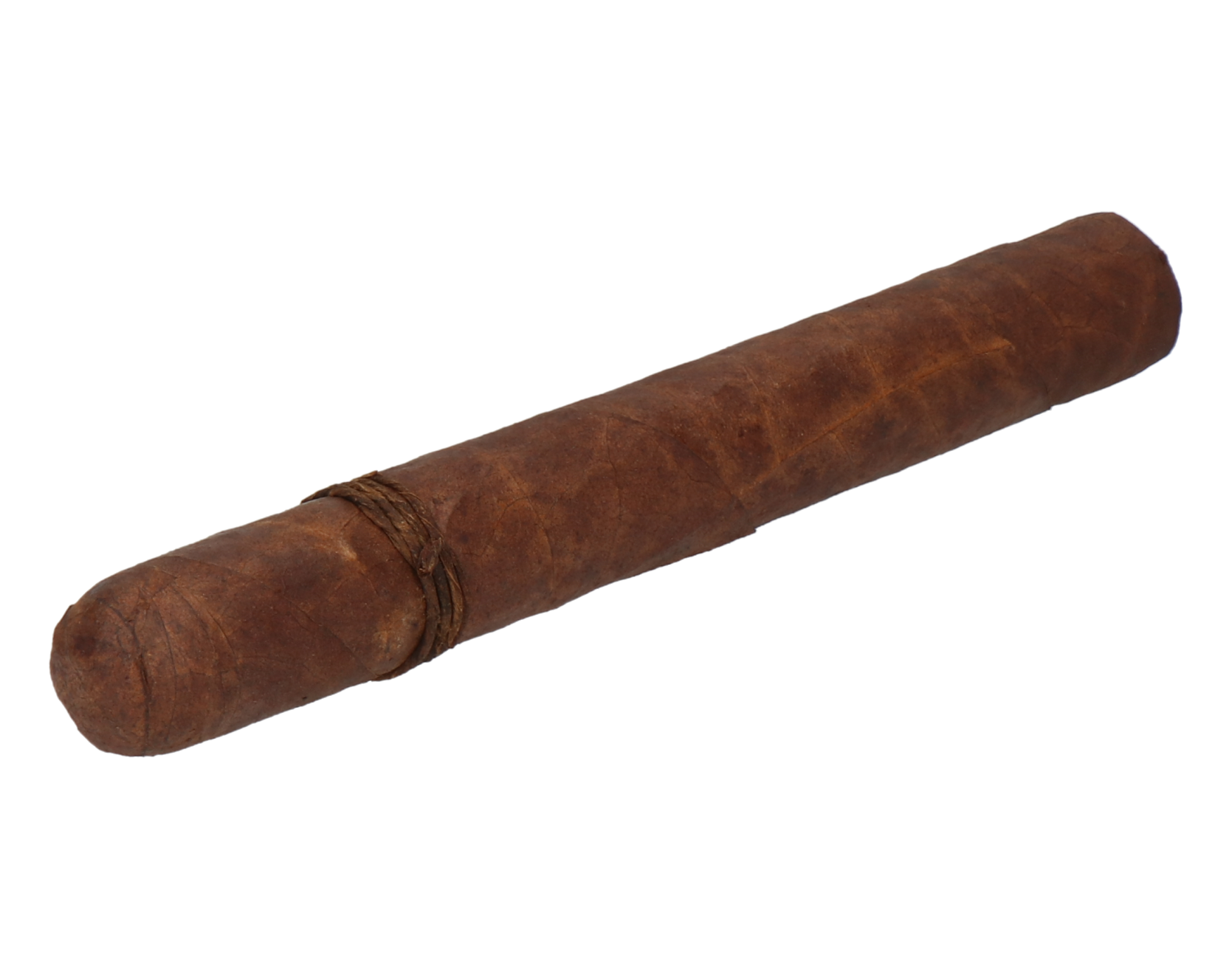 CAO Amazon Basin Toro – Bild 6