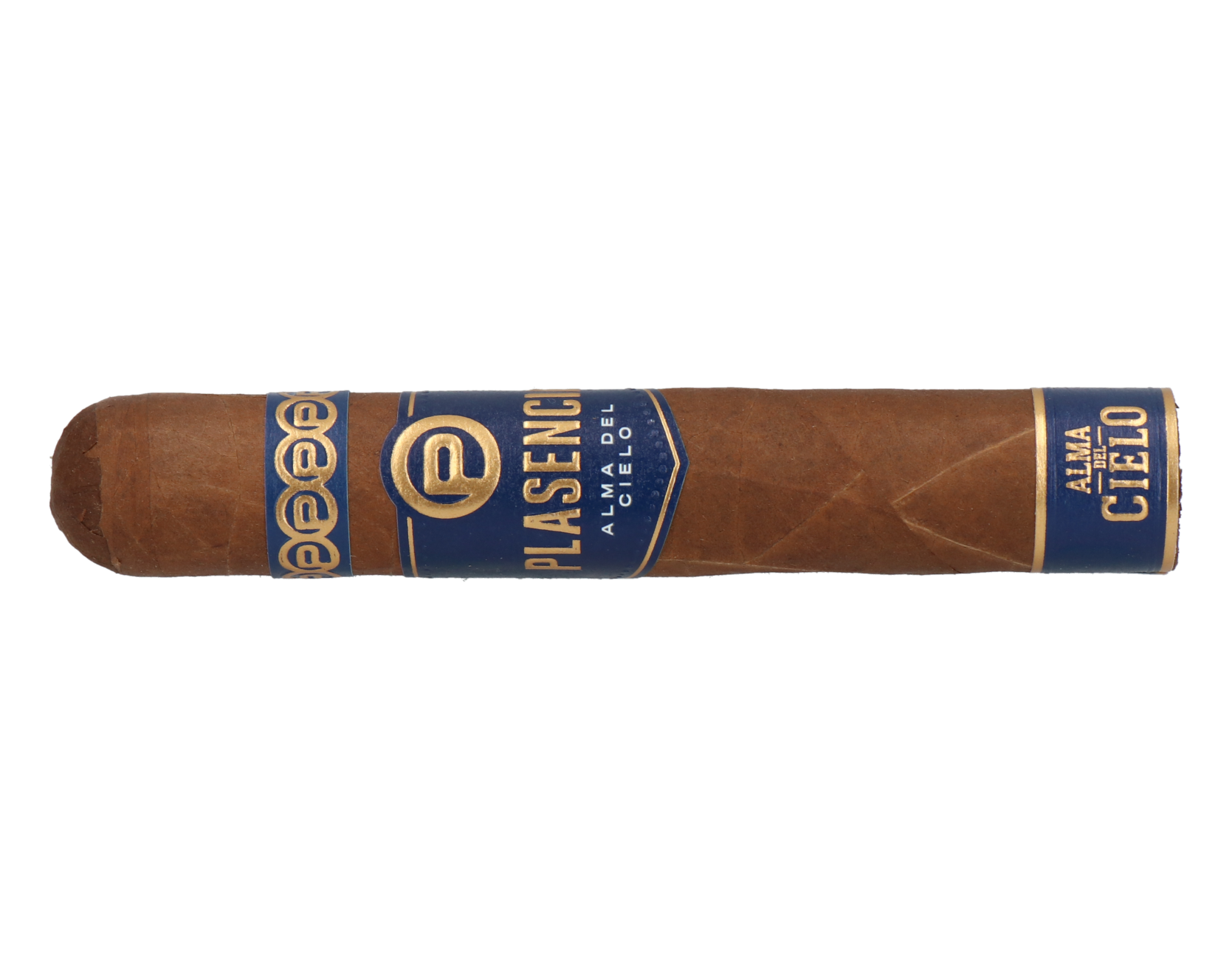 Plasencia Alma del Cielo Celeste Robusto – Bild 5