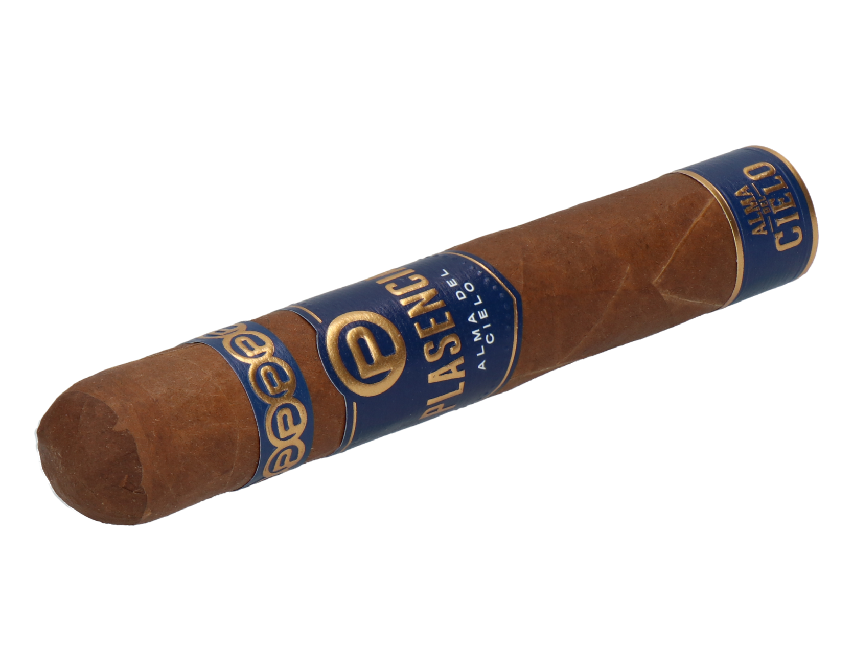Plasencia Alma del Cielo Celeste Robusto – Bild 6