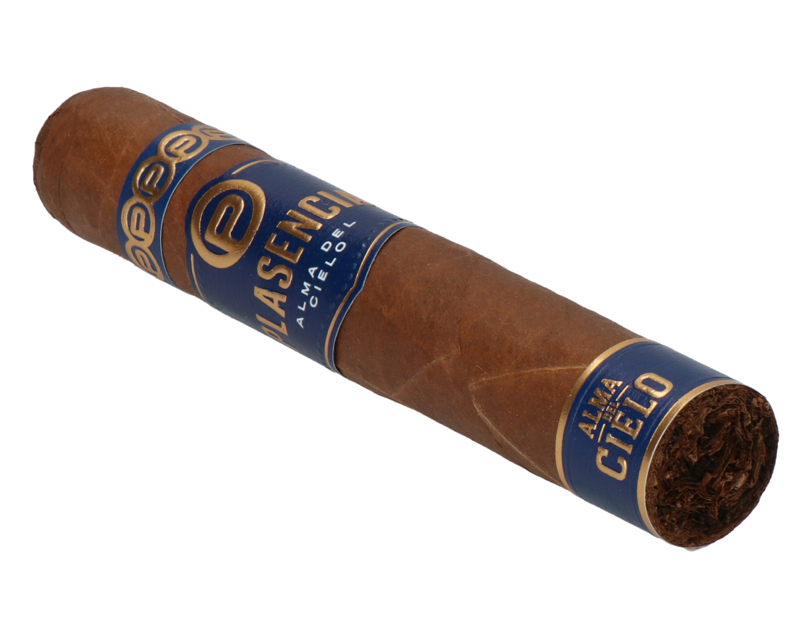 Plasencia Alma del Cielo Celeste Robusto – Bild 7
