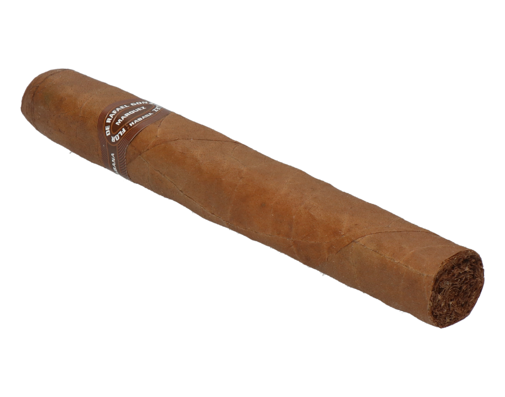 Rafael Gonzalez Petit Coronas – Bild 7