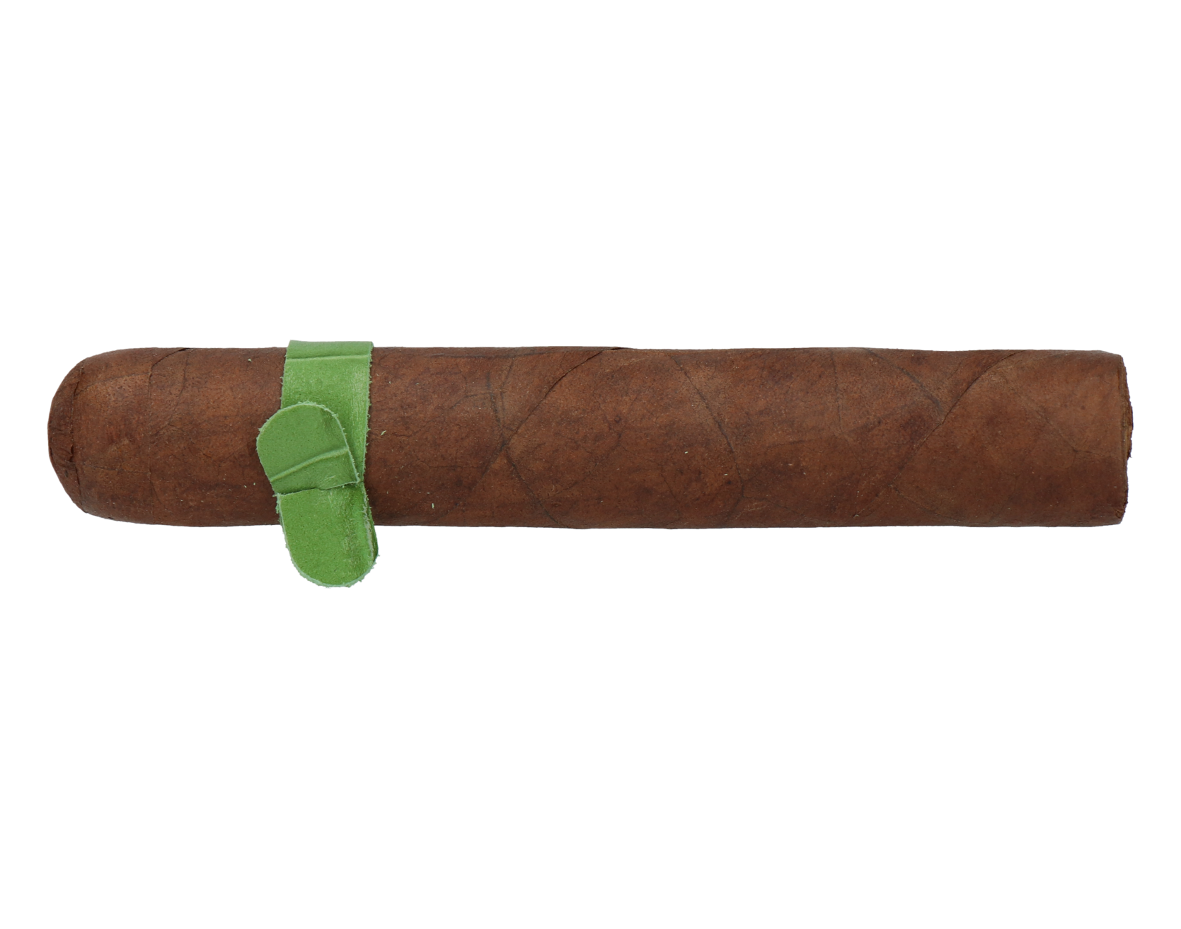 Skinhead Everglade Robusto – Bild 5