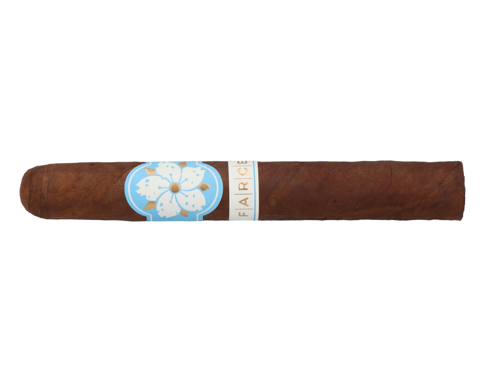 Room101 Farce Nicaragua Toro – Bild 5