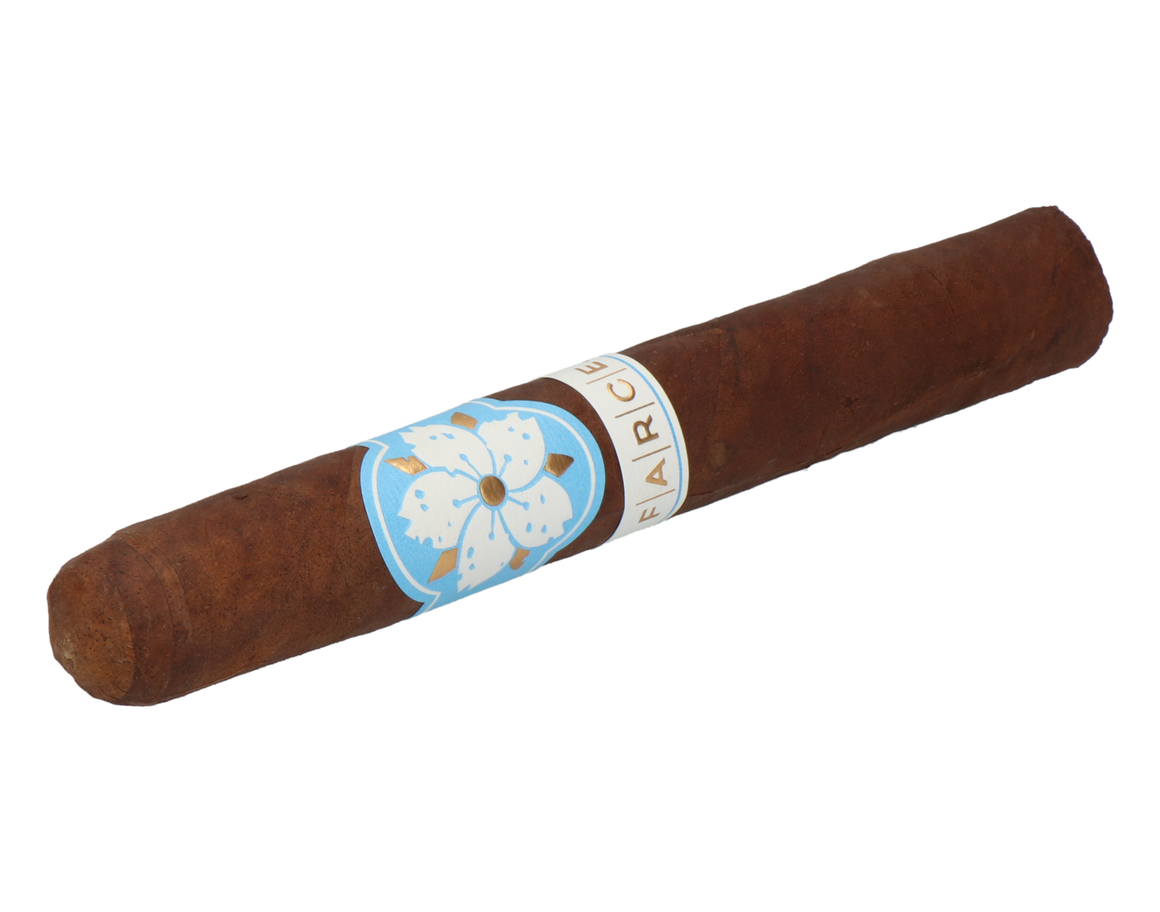 Room101 Farce Nicaragua Toro – Bild 6
