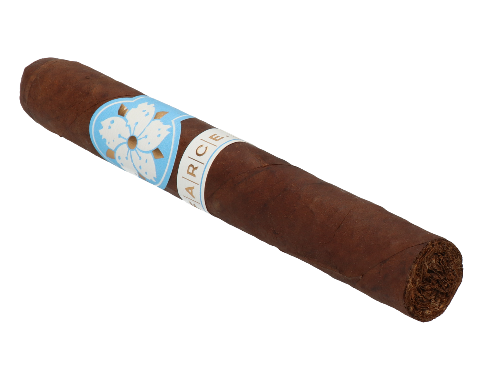 Room101 Farce Nicaragua Toro – Bild 7